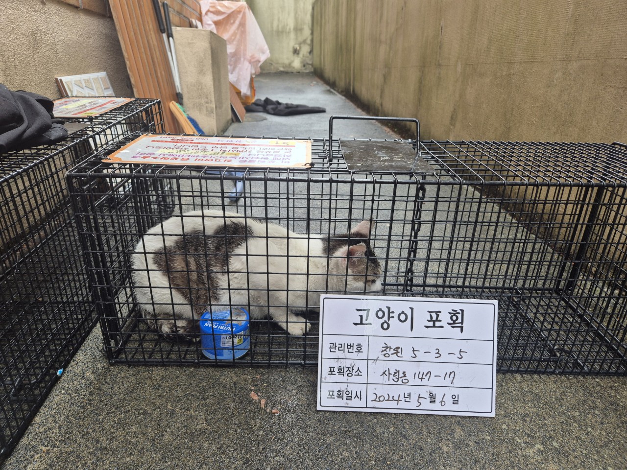 보호중동물사진 공고번호-경남-창원-2024-00479