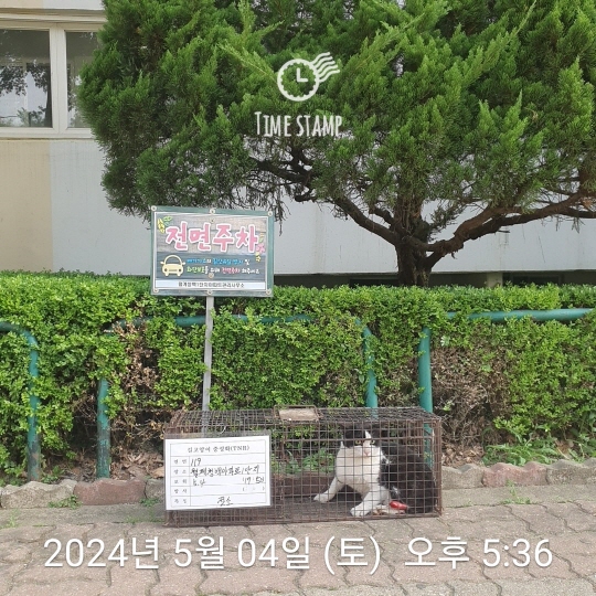 보호중동물사진 공고번호-서울-노원-2024-00238
