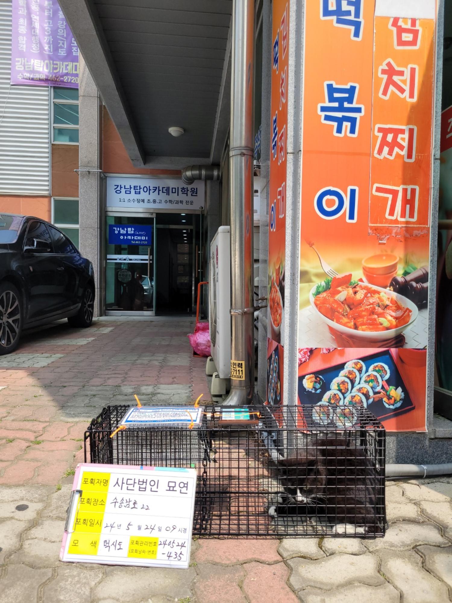 보호중동물사진 공고번호-전북-군산-2024-00431
