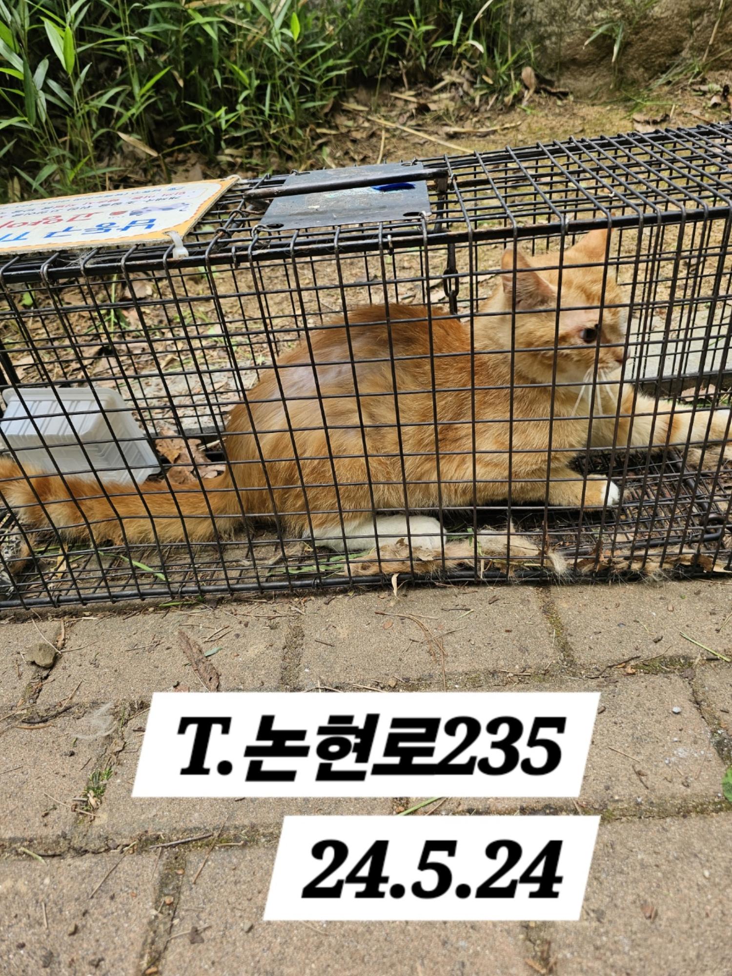 보호중동물사진 공고번호-인천-남동-2024-00321