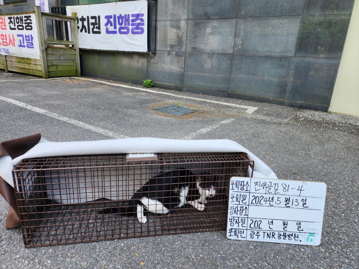 보호중동물사진 공고번호-경기-광주-2024-00754