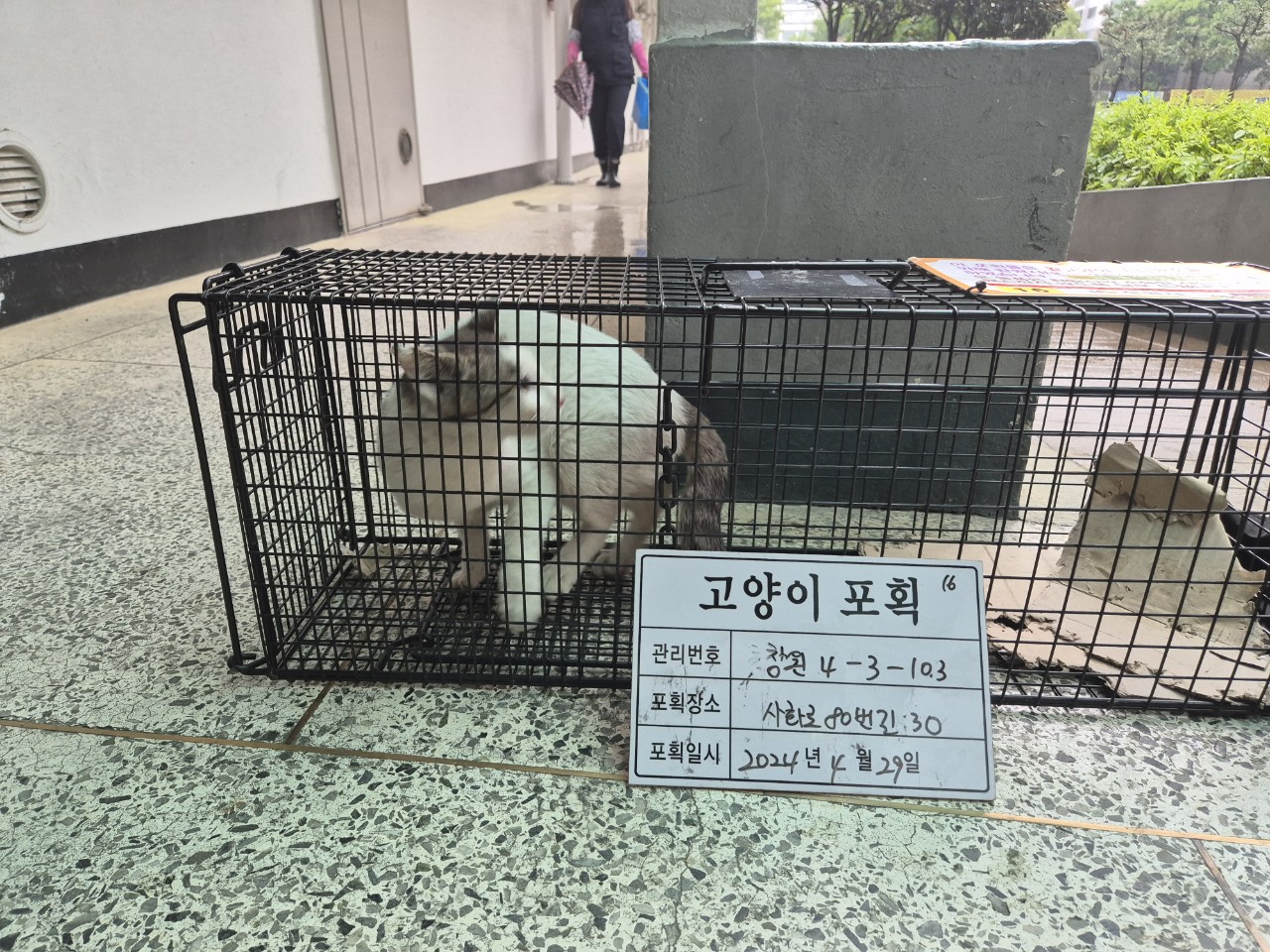 보호중동물사진 공고번호-경남-창원-2024-00463