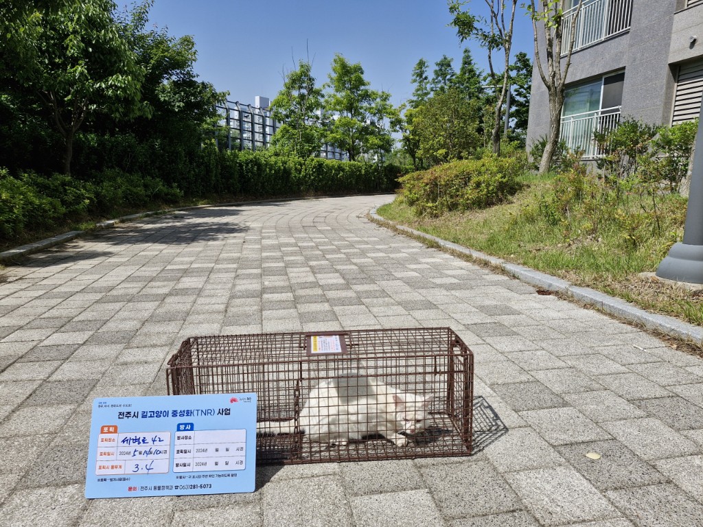 보호중동물사진 공고번호-전북-전주-2024-01114