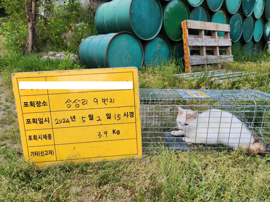보호중동물사진 공고번호-충북-청주-2024-01102