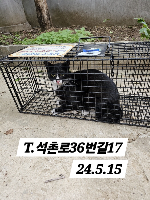 보호중동물사진 공고번호-인천-남동-2024-00311