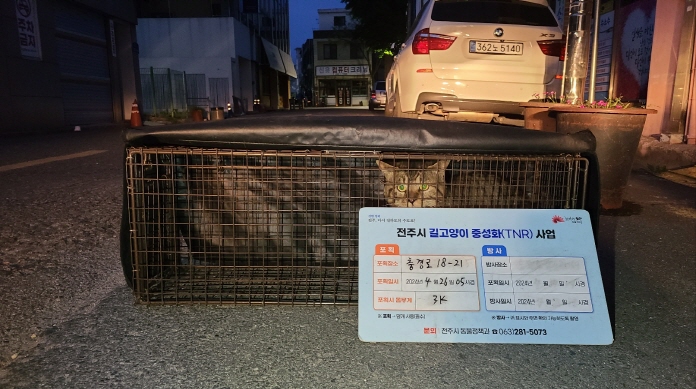 보호중동물사진 공고번호-전북-전주-2024-01024