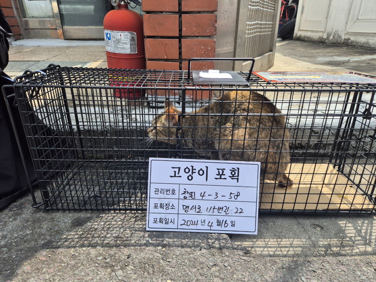 보호중동물사진 공고번호-경남-창원-2024-00400