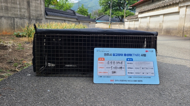 보호중동물사진 공고번호-전북-전주-2024-01202