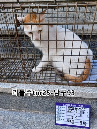 보호중동물사진 공고번호-울산-남구-2024-00112