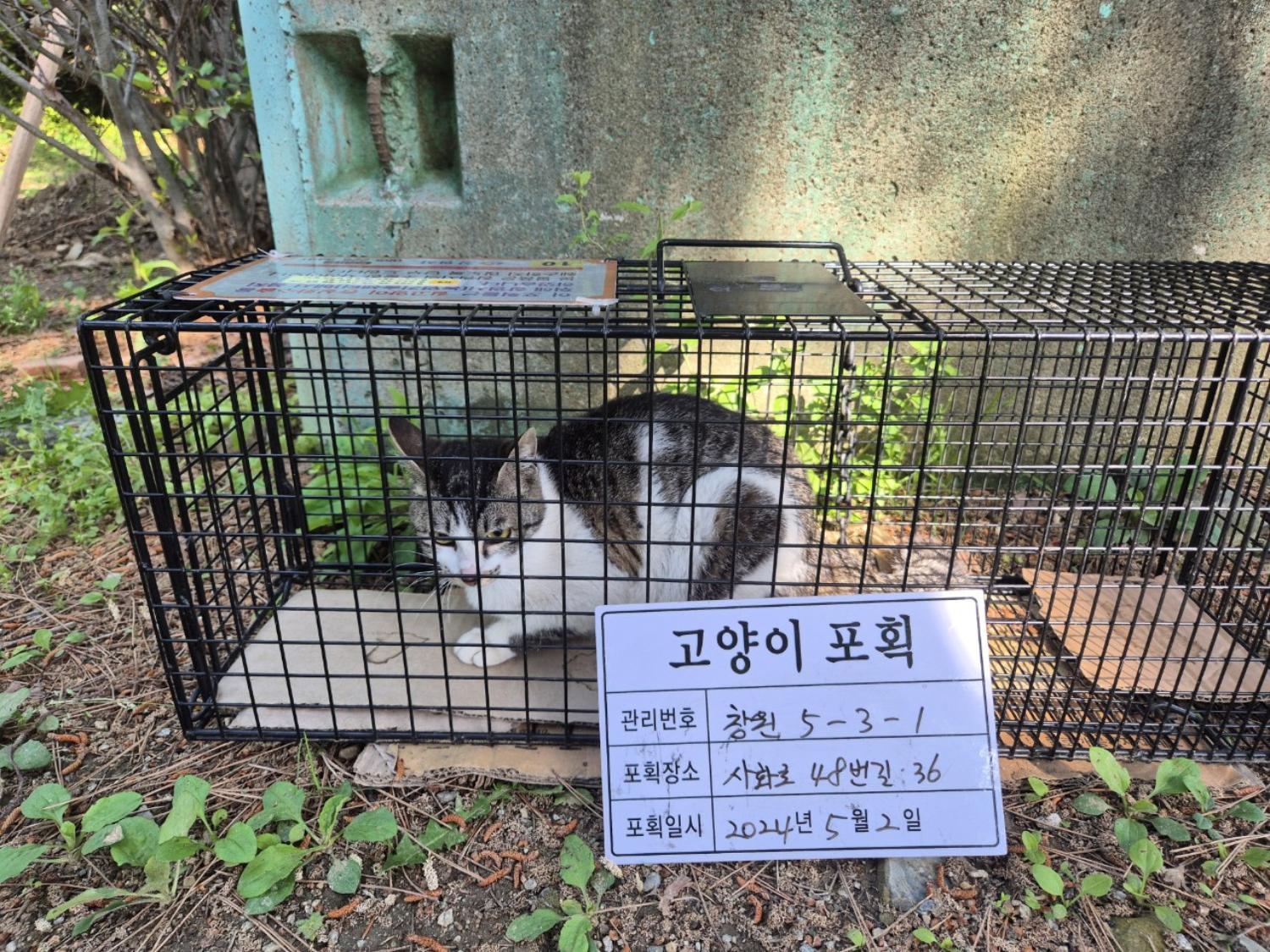 보호중동물사진 공고번호-경남-창원-2024-00475