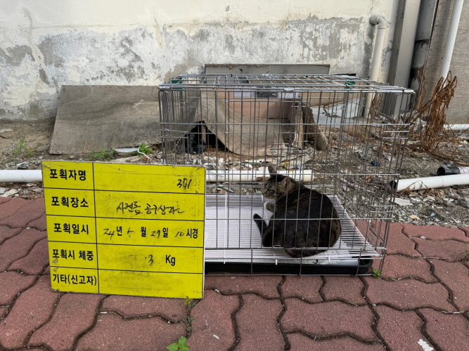 보호중동물사진 공고번호-충북-청주-2024-01223