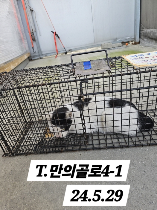 보호중동물사진 공고번호-인천-남동-2024-00338