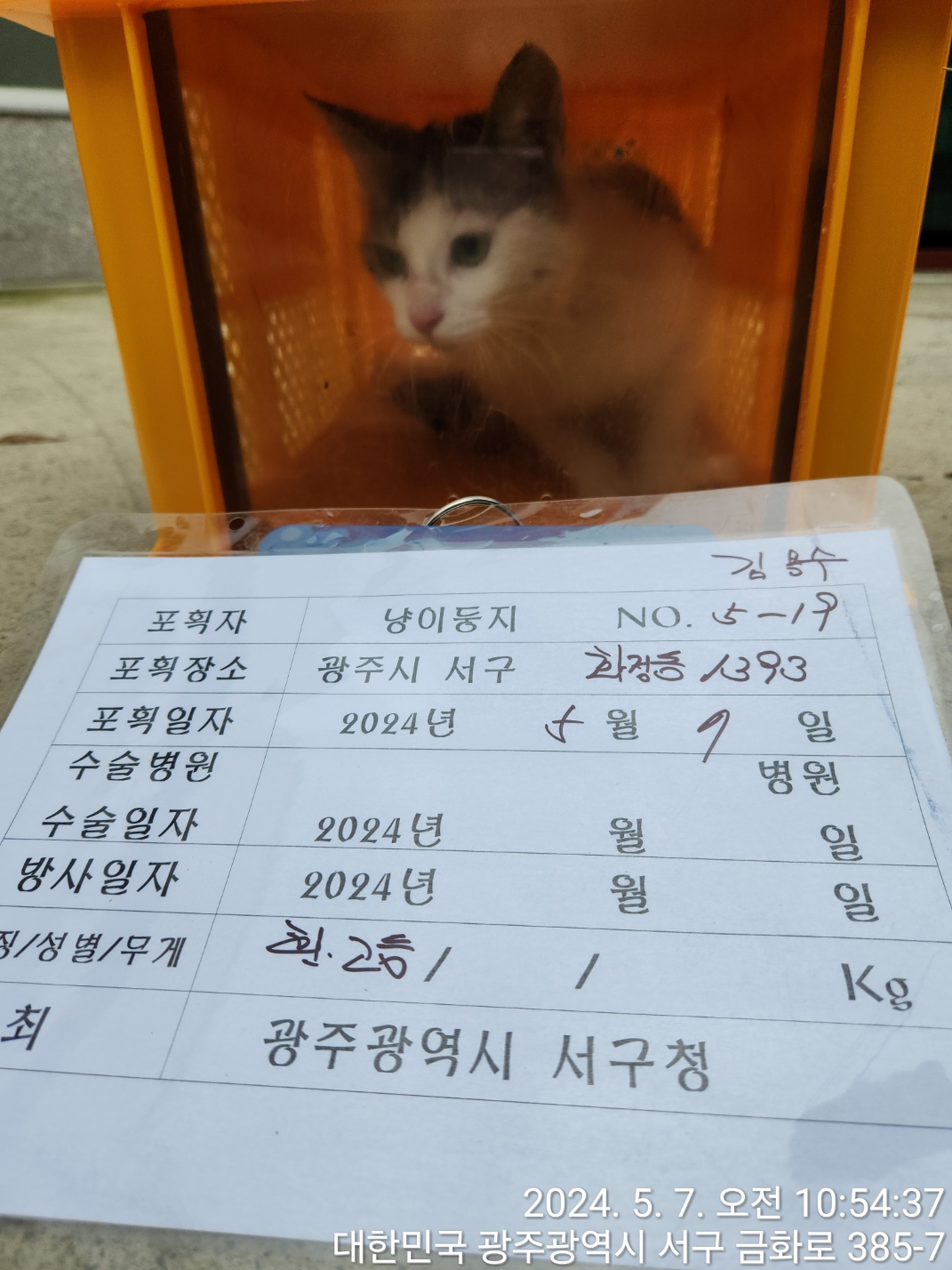 보호중동물사진 공고번호-광주-서구-2024-00214