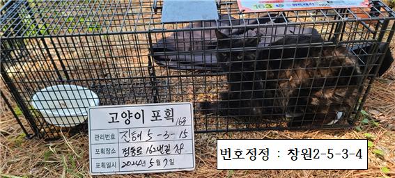 보호중동물사진 공고번호-경남-창원-2024-00484