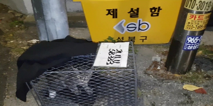 보호중동물사진 공고번호-서울-성북-2021-00333