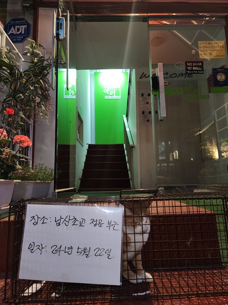 보호중동물사진 공고번호-서울-중구-2024-00178