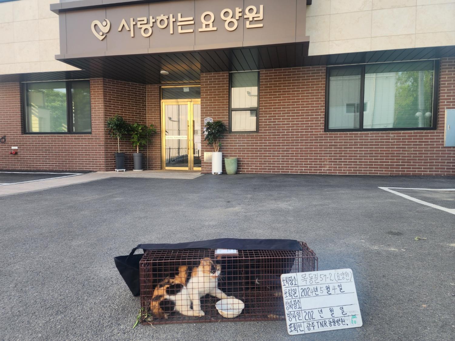 보호중동물사진 공고번호-경기-광주-2024-00706