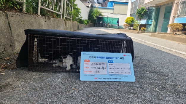보호중동물사진 공고번호-전북-전주-2024-01138