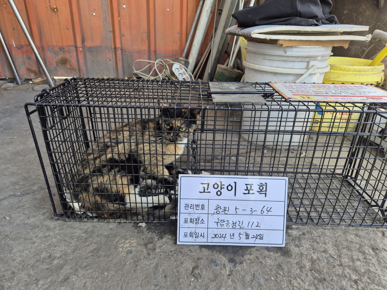 보호중동물사진 공고번호-경남-창원-2024-00587