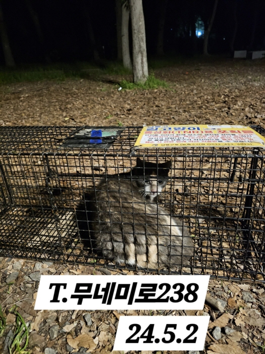 보호중동물사진 공고번호-인천-남동-2024-00267