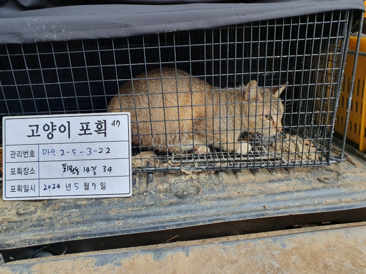 보호중동물사진 공고번호-경남-마산-2024-00659
