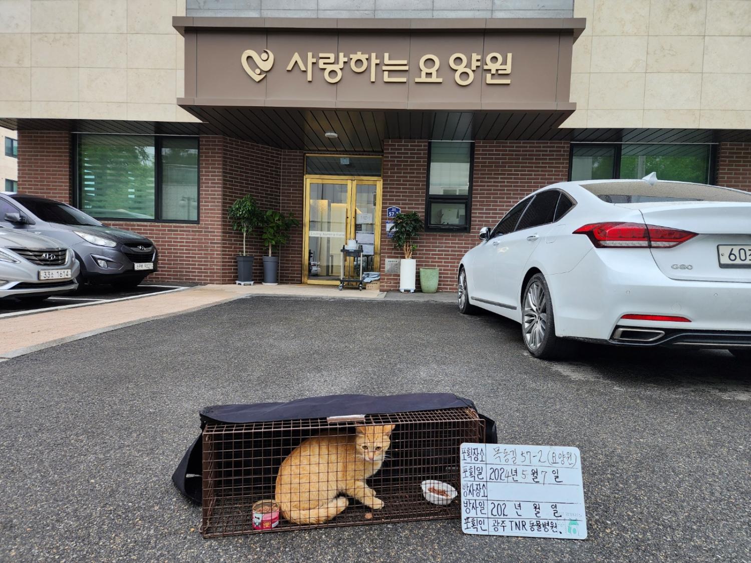 보호중동물사진 공고번호-경기-광주-2024-00711