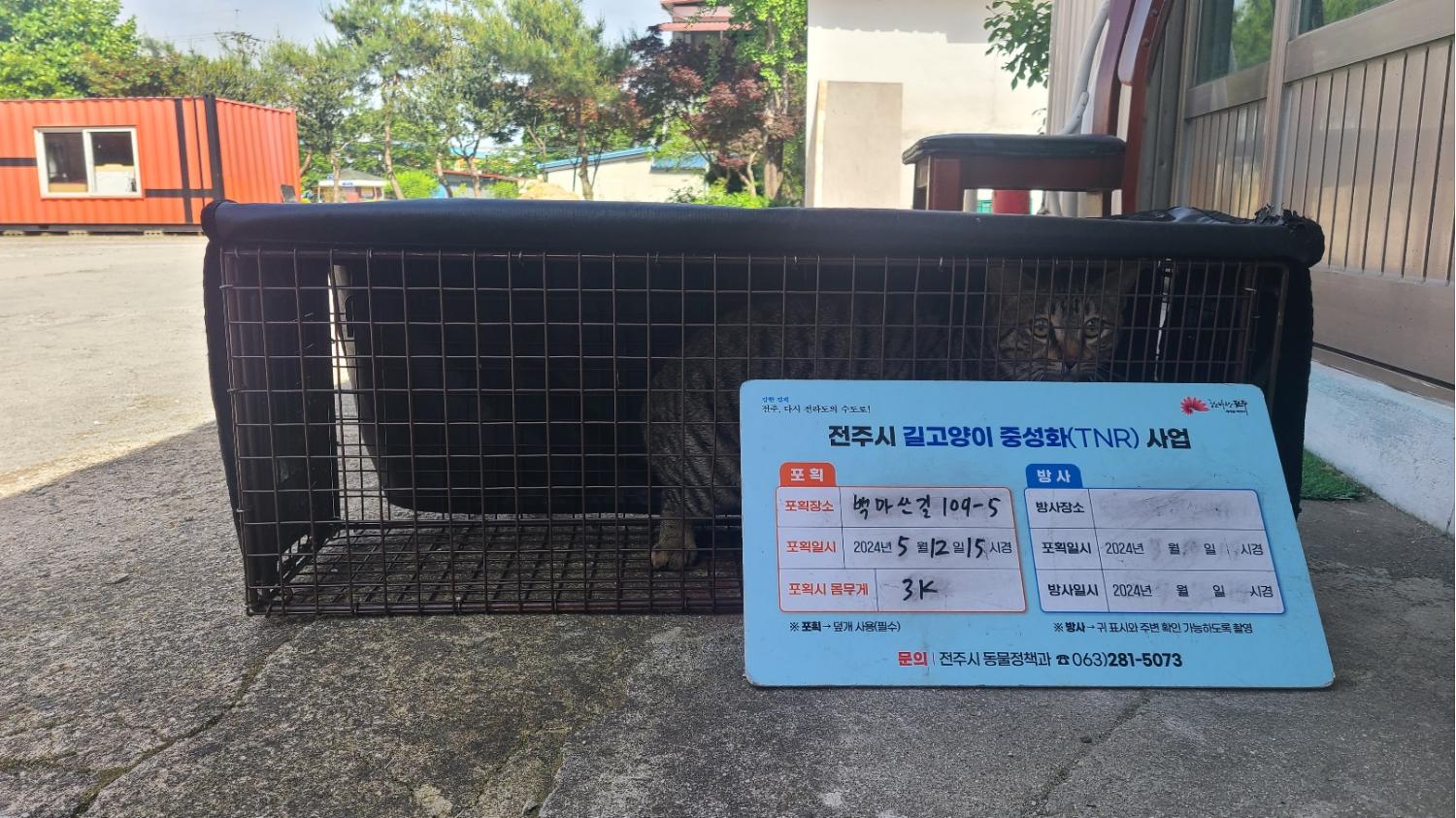 보호중동물사진 공고번호-전북-전주-2024-01100