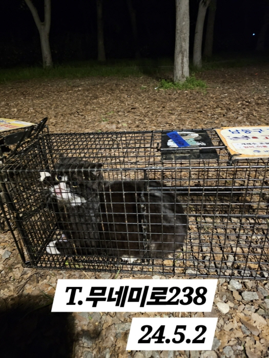 보호중동물사진 공고번호-인천-남동-2024-00266