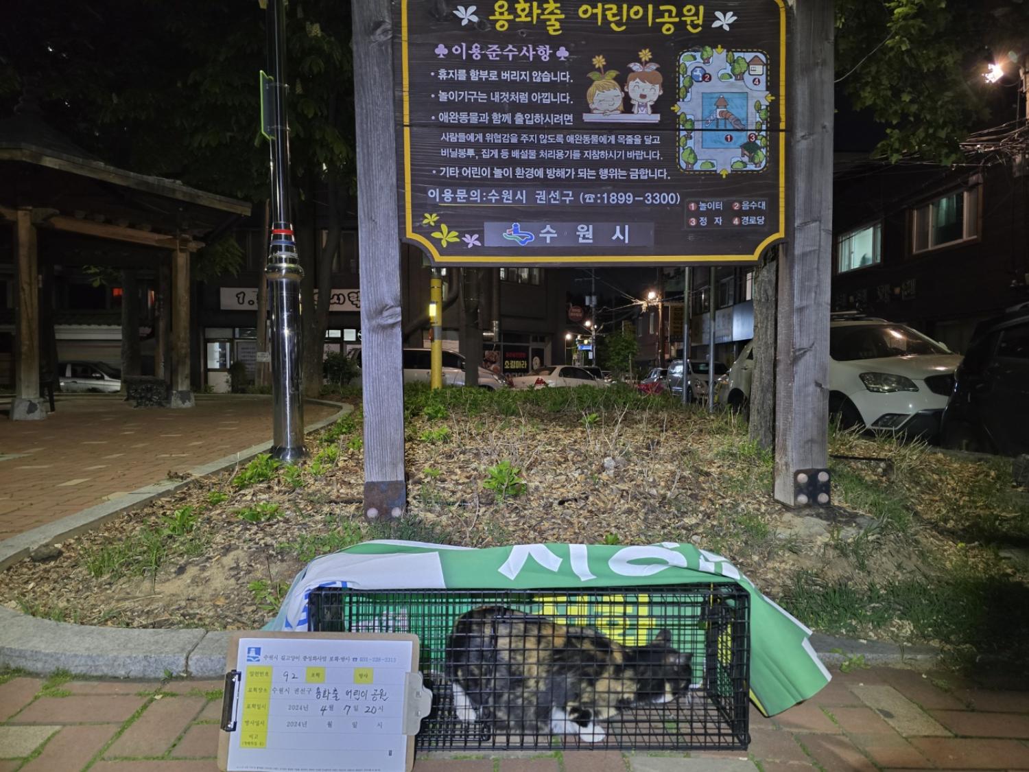 보호중동물사진 공고번호-경기-수원-2024-00267