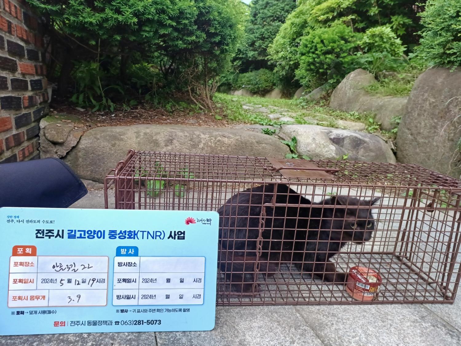 보호중동물사진 공고번호-전북-전주-2024-01104