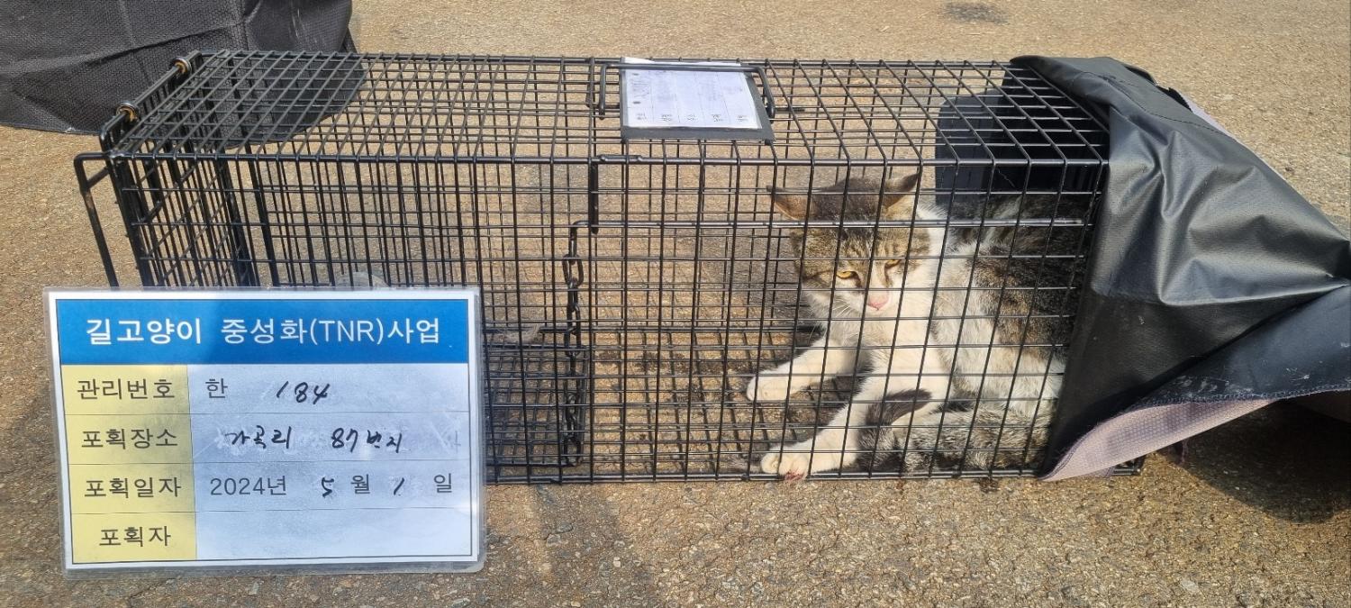 보호중동물사진 공고번호-경기-남양주-2024-00940