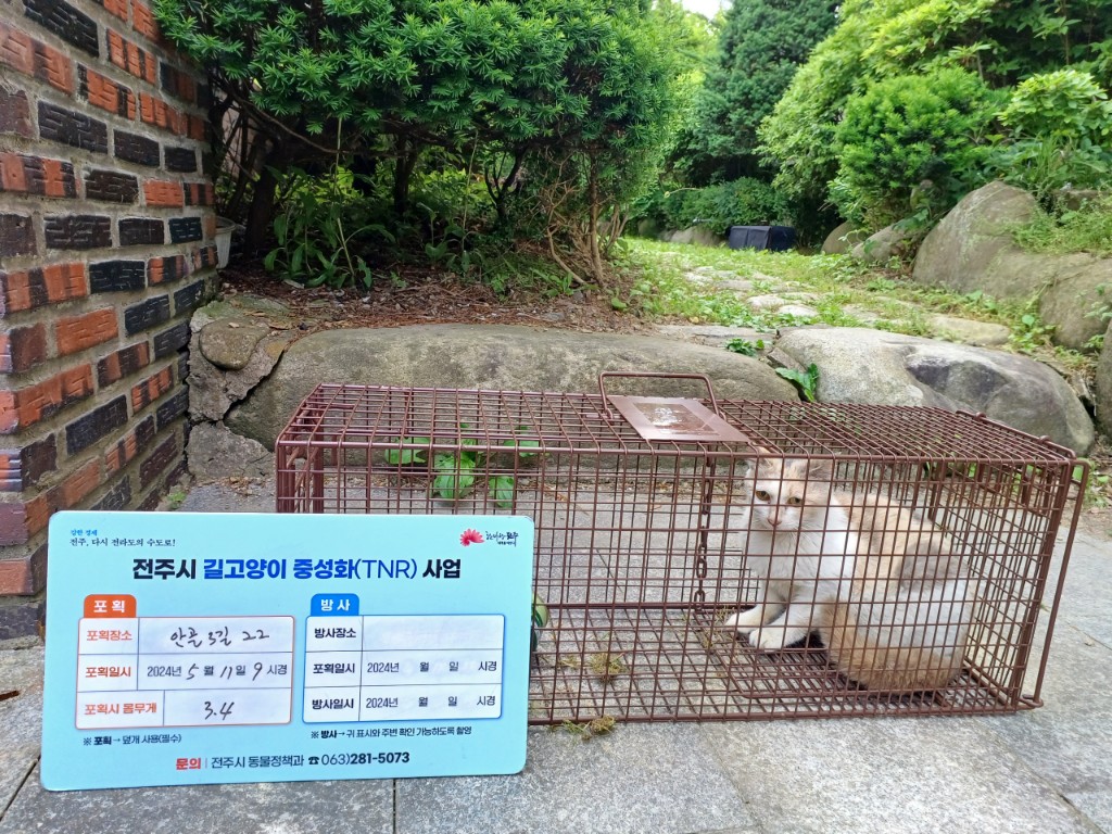 보호중동물사진 공고번호-전북-전주-2024-01094