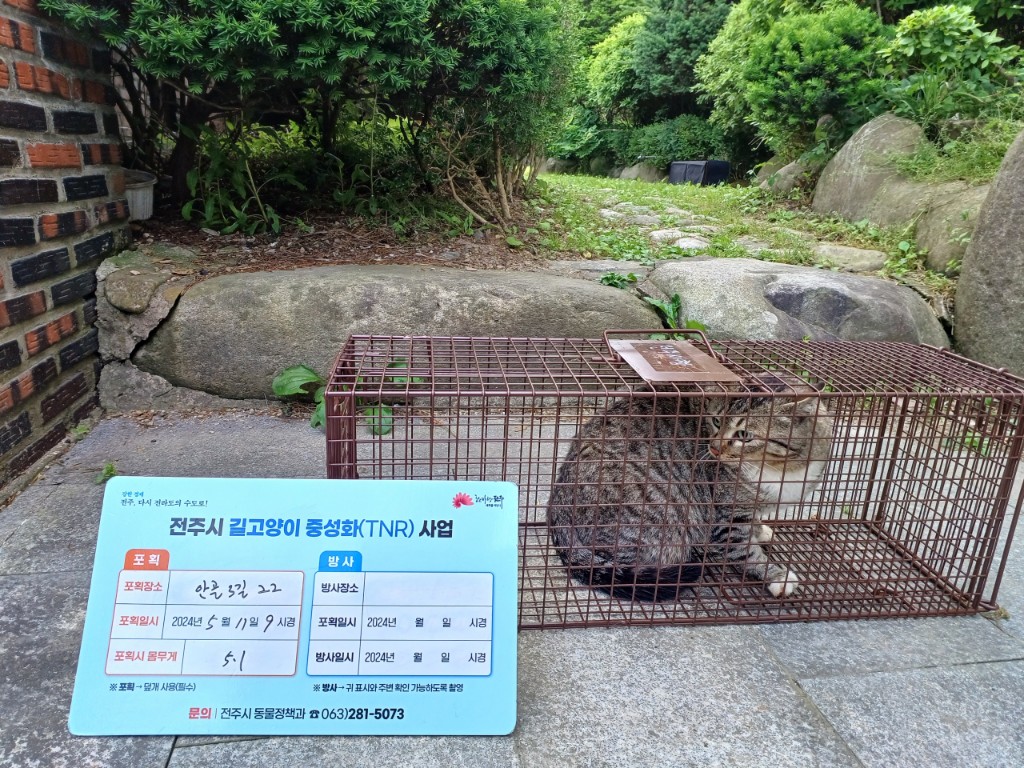 보호중동물사진 공고번호-전북-전주-2024-01092