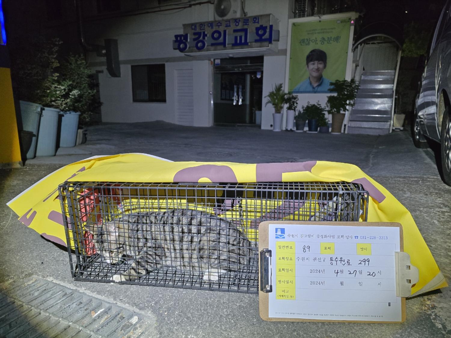보호중동물사진 공고번호-경기-수원-2024-00264