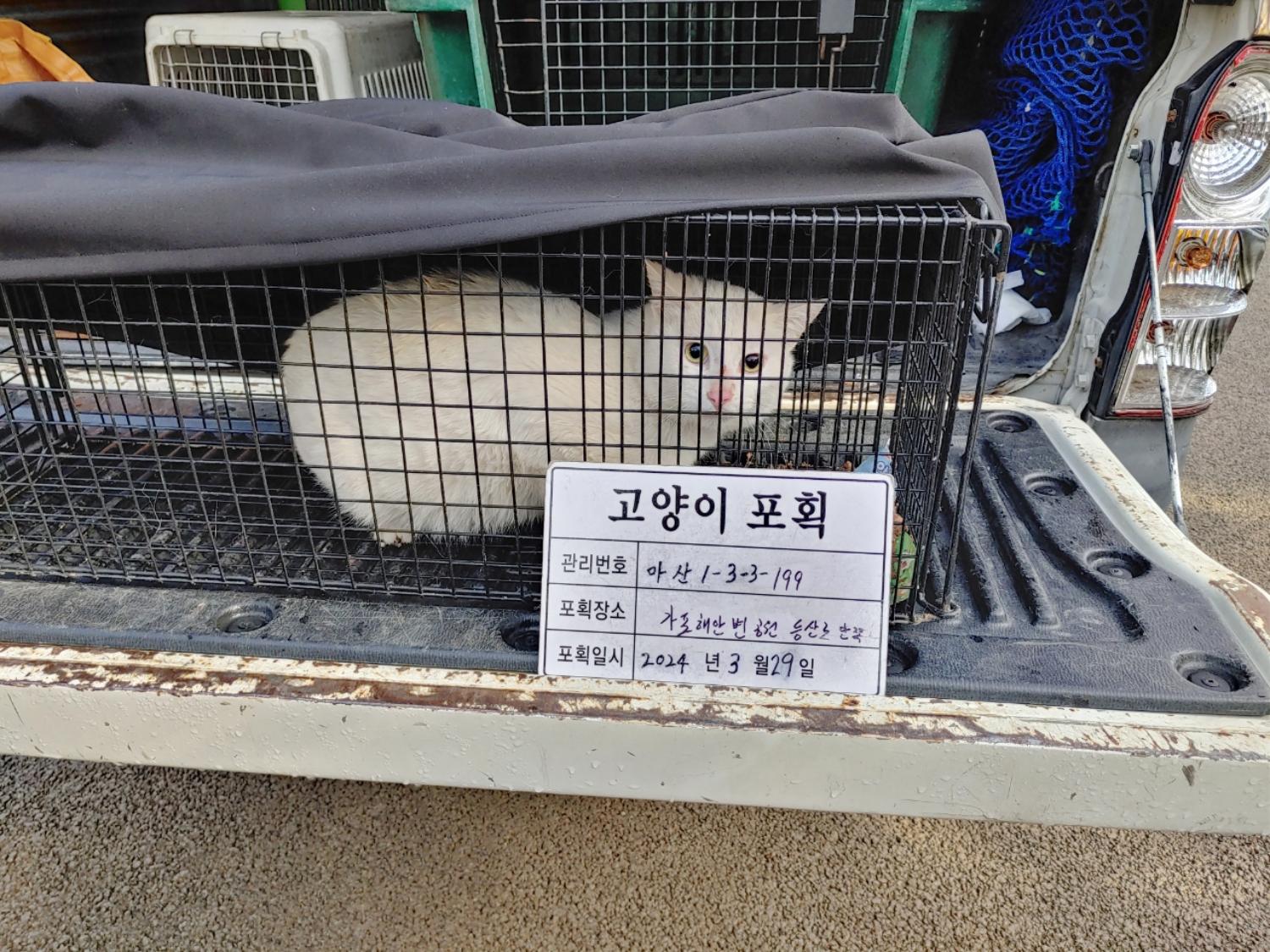 보호중동물사진 공고번호-경남-마산-2024-00450