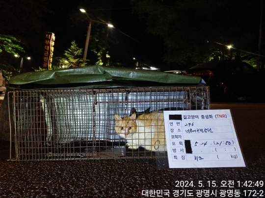 보호중동물사진 공고번호-경기-광명-2024-00299