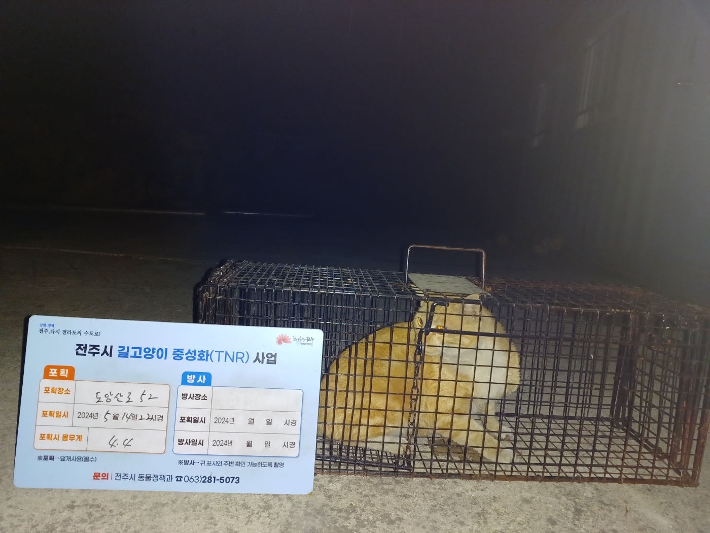 보호중동물사진 공고번호-전북-전주-2024-01119