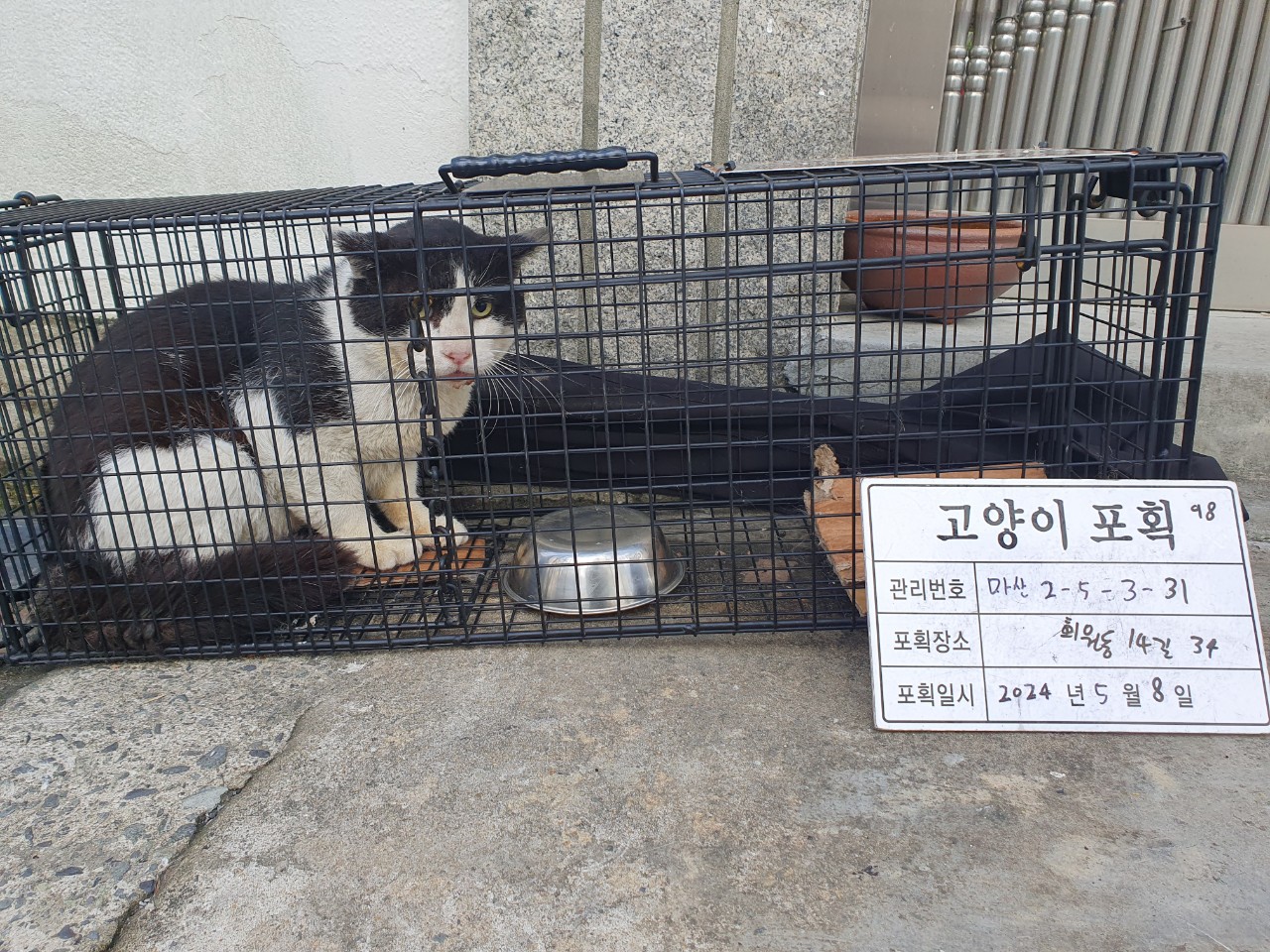 보호중동물사진 공고번호-경남-마산-2024-00668