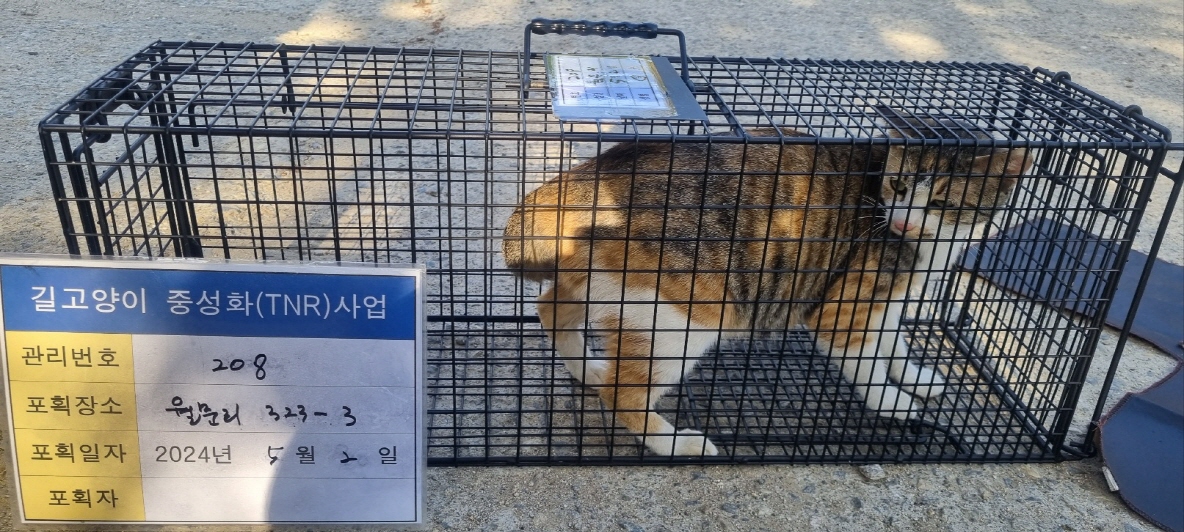 보호중동물사진 공고번호-경기-남양주-2024-00950