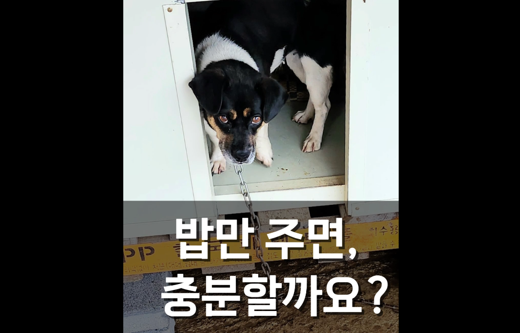 이미지가 없습니다.