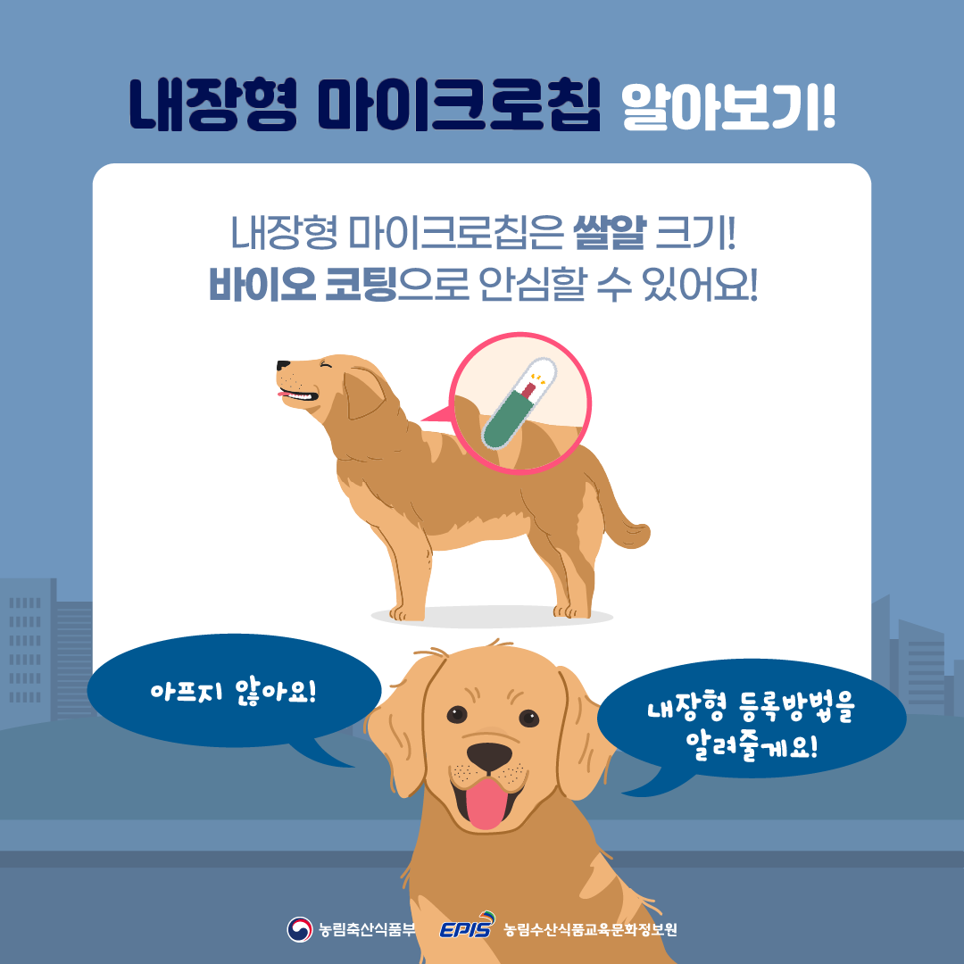 동물등록 절차 2단계
