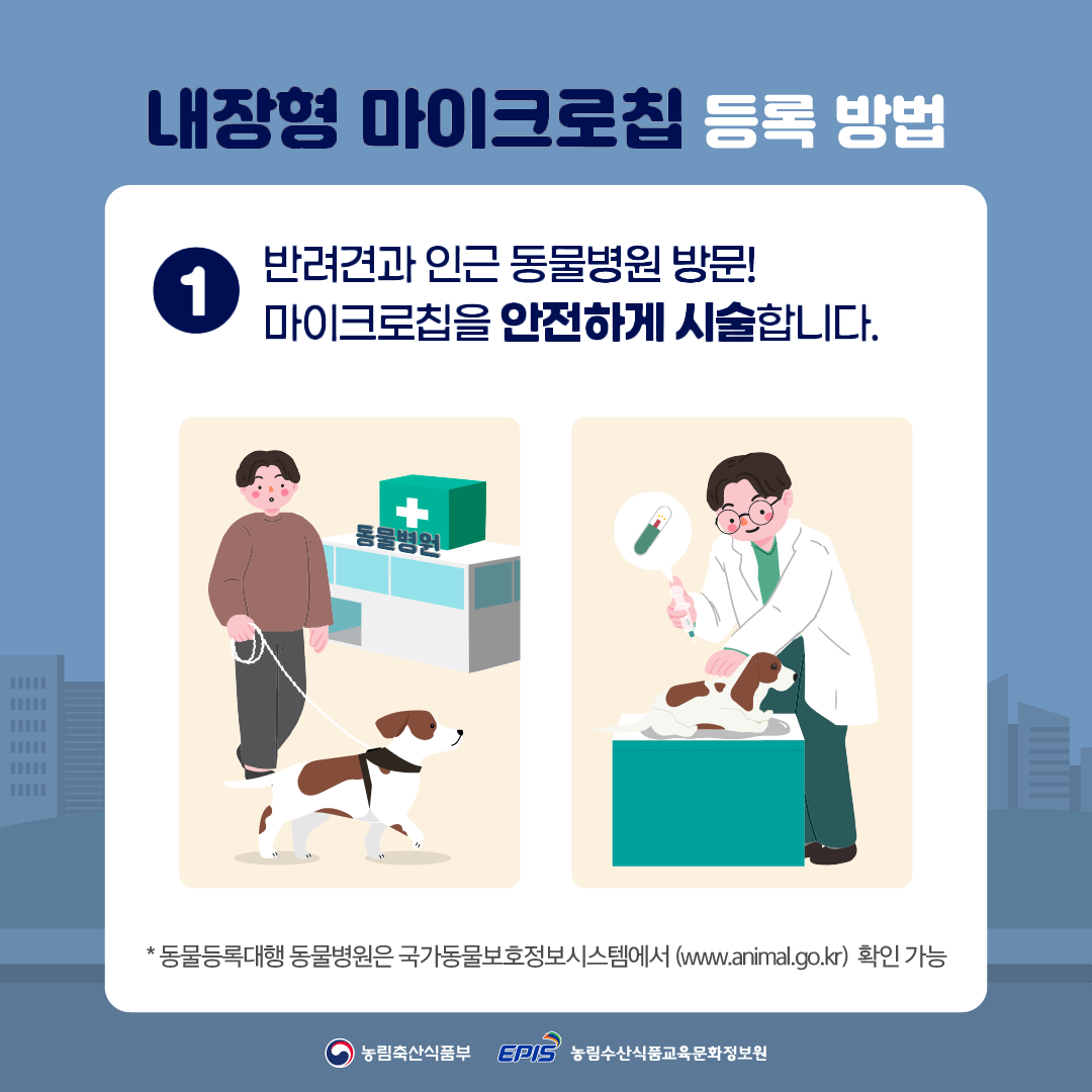 동물등록 절차 3단계