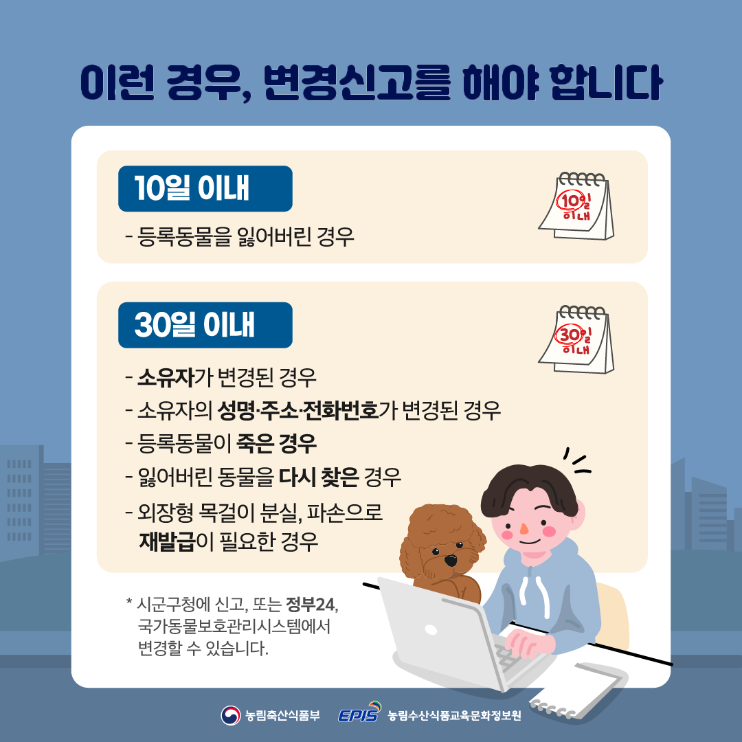 동물등록 절차 6단계