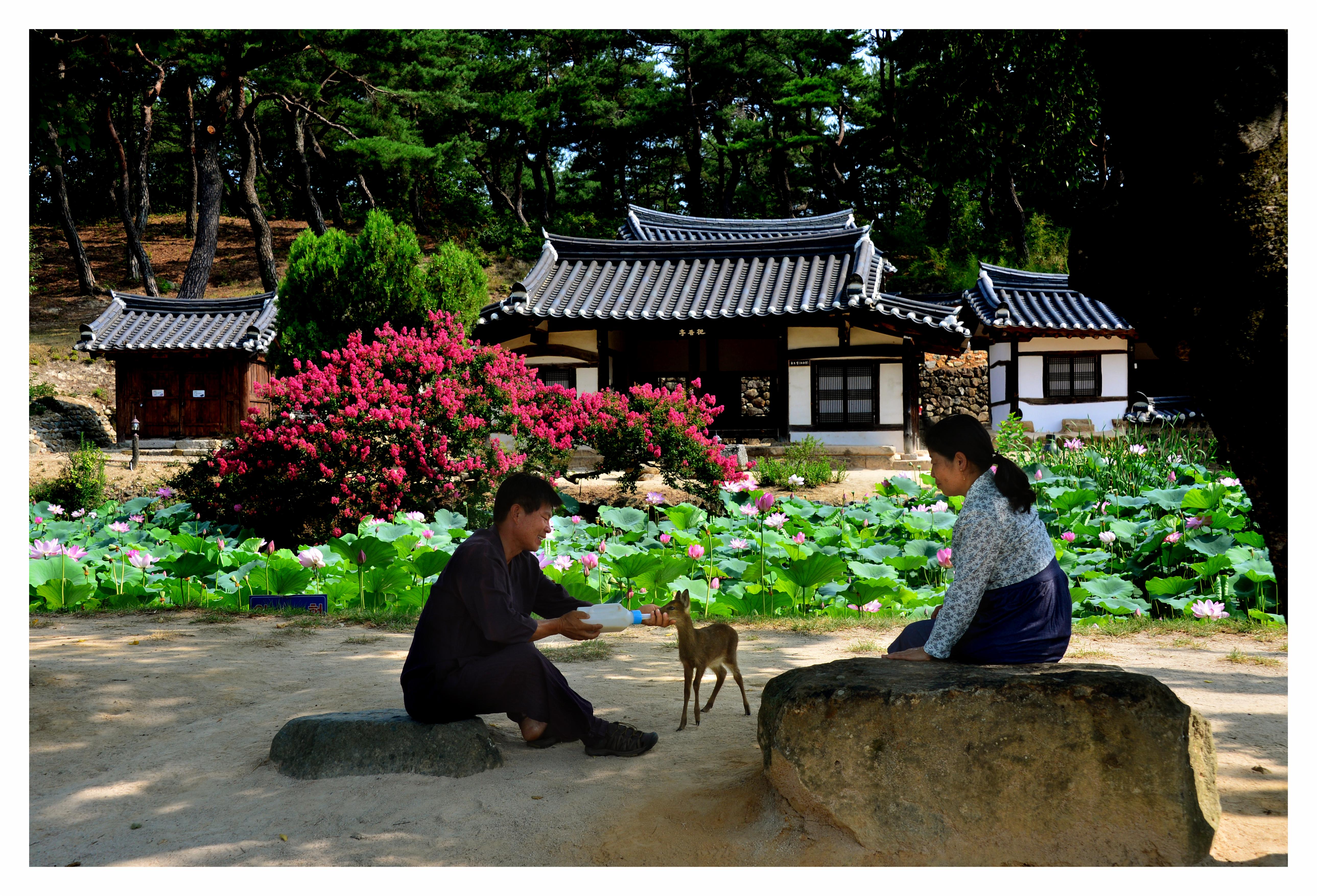 사랑 이미지
