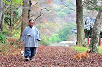 산책 이미지