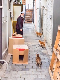  이미지