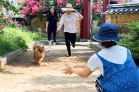  이미지