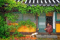  이미지