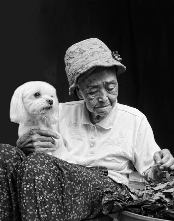  이미지