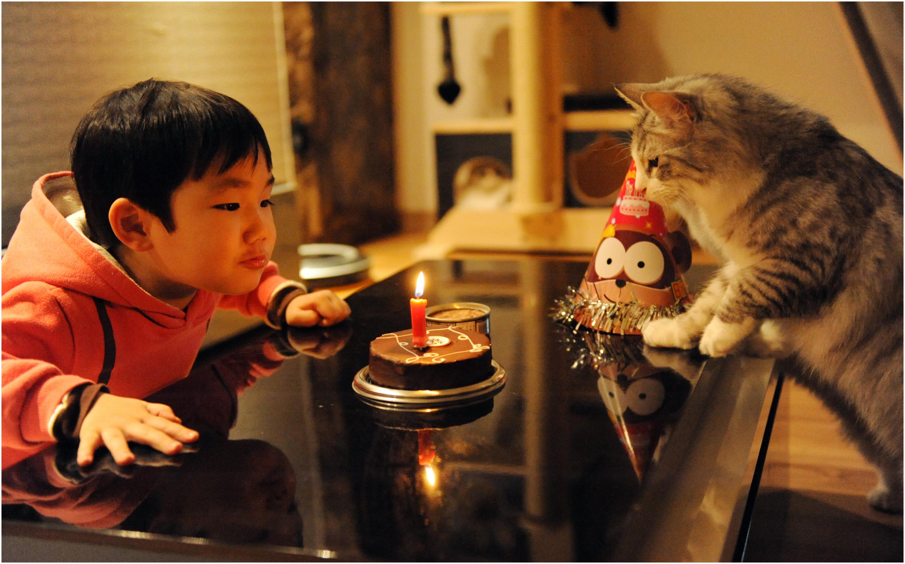 동갑내기 생일잔치 이미지